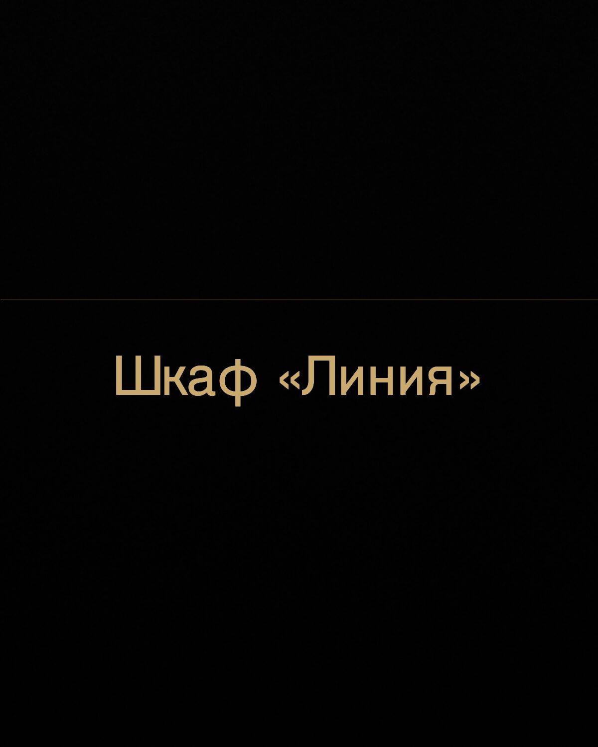 Встроенный шкаф «Линия»